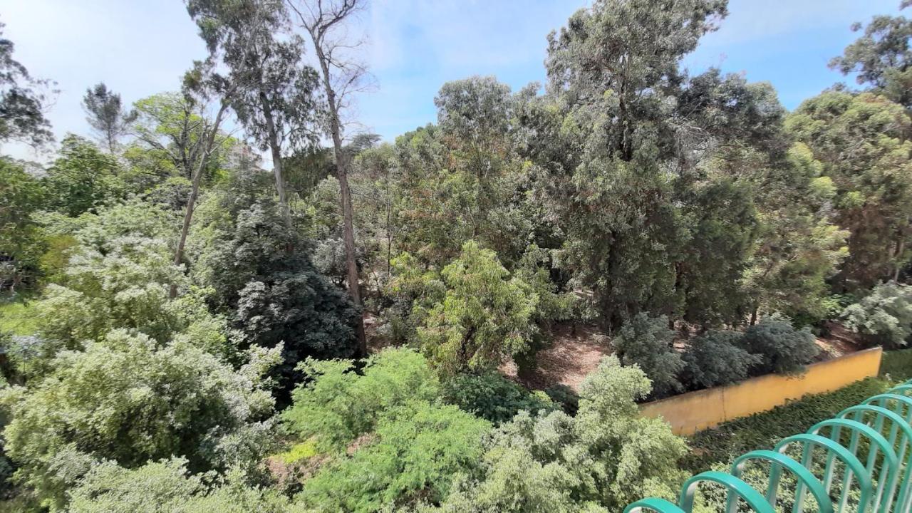 Forest View Lisboa Exterior foto